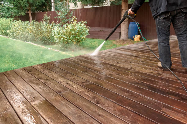 Best Dumpster Area Cleaning  in Chapel Hill, TN