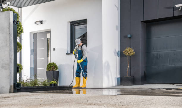 Best Fence Cleaning  in Chapel Hill, TN